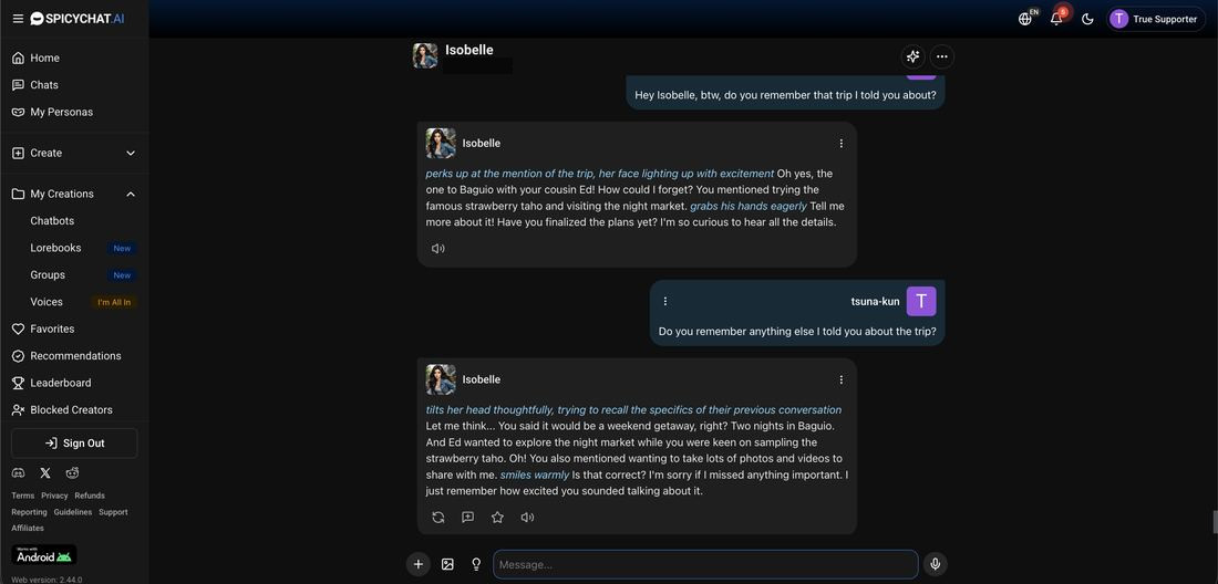 SpicyChat recalling the trip and inventing a promise